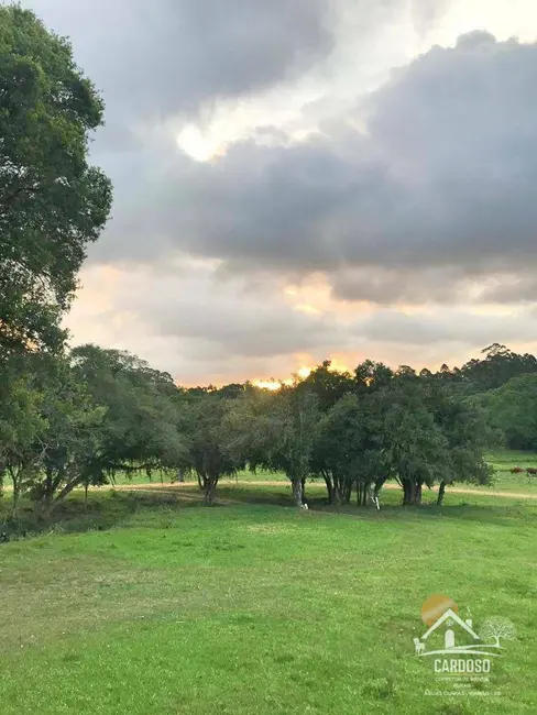 Sítio / Rancho com 2 quartos à venda, 226000m2 em Viamao - RS - imagem 4 Foto 4 de Sítio / Rancho com 2 quartos à venda, 226000m2 em Viamao - RS