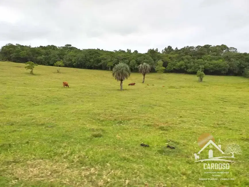 Sítio / Rancho com 2 quartos à venda, 226000m2 em Viamao - RS - imagem 9 Foto 9 de Sítio / Rancho com 2 quartos à venda, 226000m2 em Viamao - RS