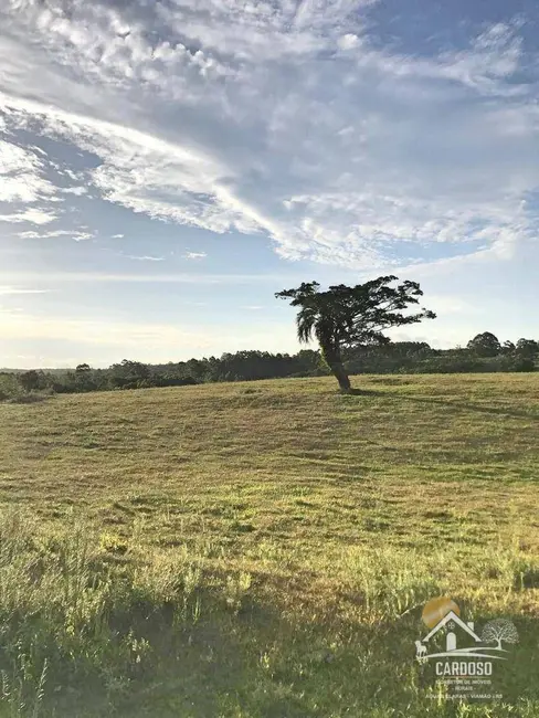 Sítio / Rancho com 2 quartos à venda, 226000m2 em Viamao - RS - imagem 3 Foto 3 de Sítio / Rancho com 2 quartos à venda, 226000m2 em Viamao - RS