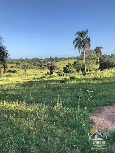 Sítio / Rancho com 2 quartos à venda, 226000m2 em Viamao - RS - imagem 8 Foto 8 de Sítio / Rancho com 2 quartos à venda, 226000m2 em Viamao - RS