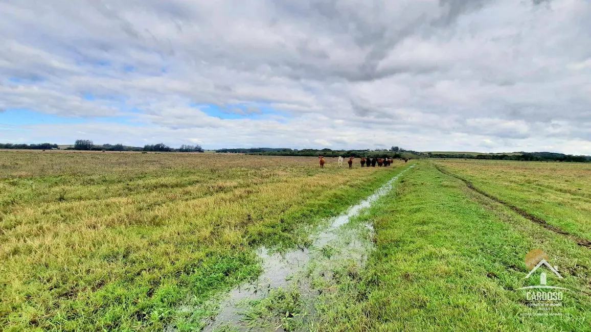 Sítio / Rancho à venda, 435000m2 em Santo Antonio Da Patrulha - RS - imagem 3 Foto 3 de Sítio / Rancho à venda, 435000m2 em Santo Antonio Da Patrulha - RS