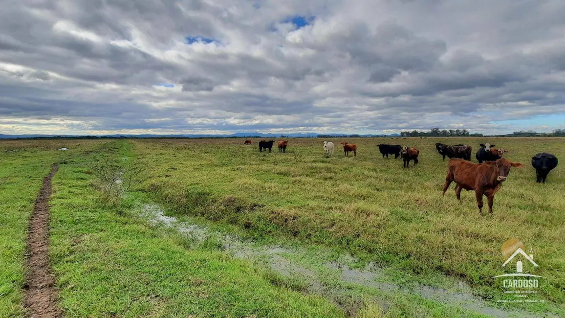 Sítio / Rancho à venda, 435000m2 em Santo Antonio Da Patrulha - RS - imagem 1 Foto 1 de Sítio / Rancho à venda, 435000m2 em Santo Antonio Da Patrulha - RS