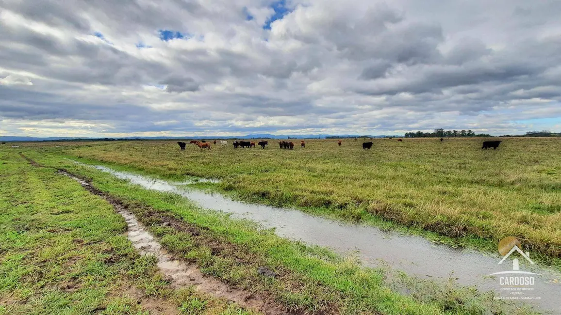 Sítio / Rancho à venda, 435000m2 em Santo Antonio Da Patrulha - RS - imagem 2 Foto 2 de Sítio / Rancho à venda, 435000m2 em Santo Antonio Da Patrulha - RS
