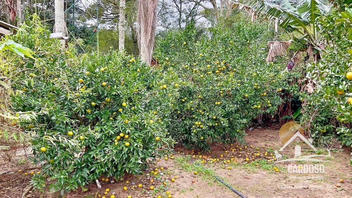 Foto 6 de Sítio / Rancho com 3 quartos à venda, 3000m2 em Viamao - RS