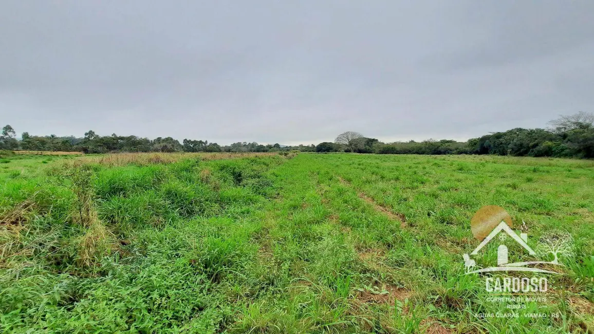 Sítio / Rancho à venda, 240000m2 em Lami, Porto Alegre - RS - imagem 8 Foto 8 de Sítio / Rancho à venda, 240000m2 em Lami, Porto Alegre - RS