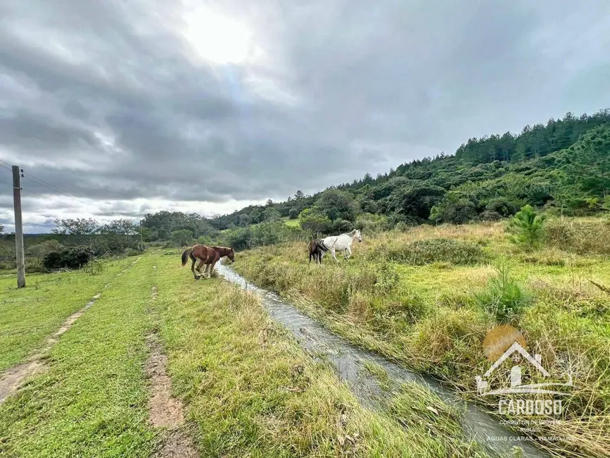 Foto 2 de Sítio / Rancho à venda, 20000m2 em Viamao - RS