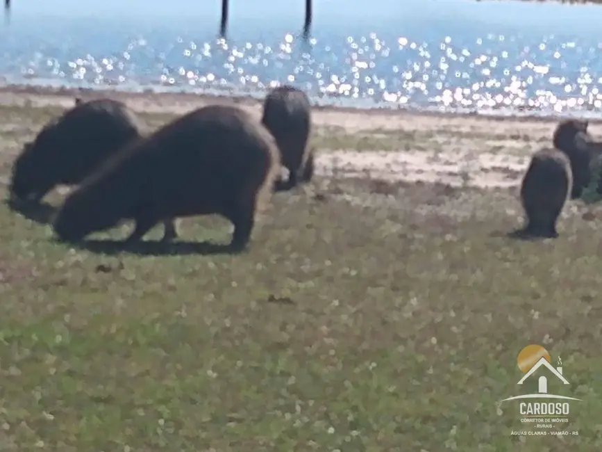 Foto 6 de Sítio / Rancho com 2 quartos à venda, 7000m2 em Viamao - RS