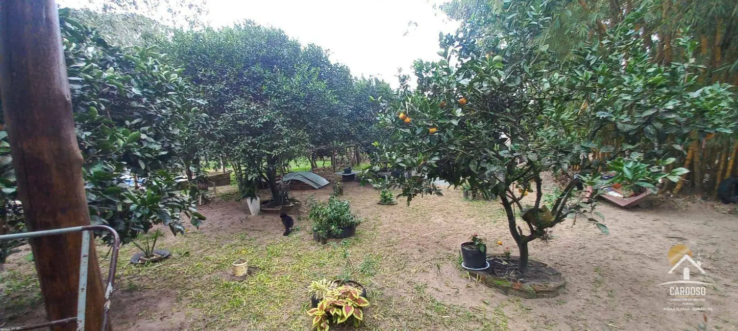 Foto 6 de Sítio / Rancho com 3 quartos à venda, 3000m2 em Viamao - RS