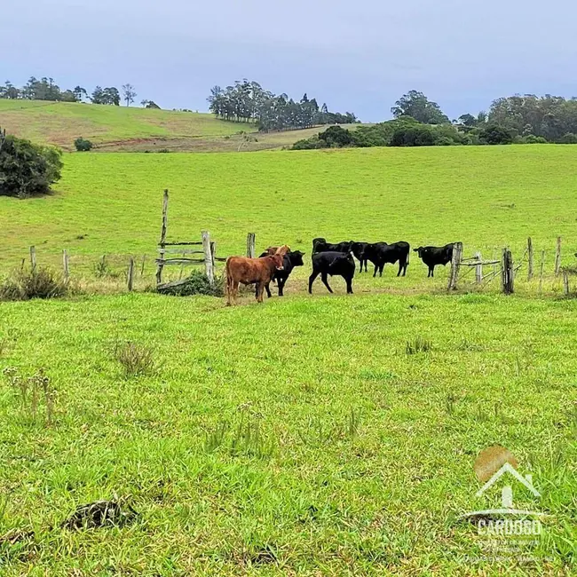 Foto 4 de Sítio / Rancho à venda, 450000m2 em Viamao - RS