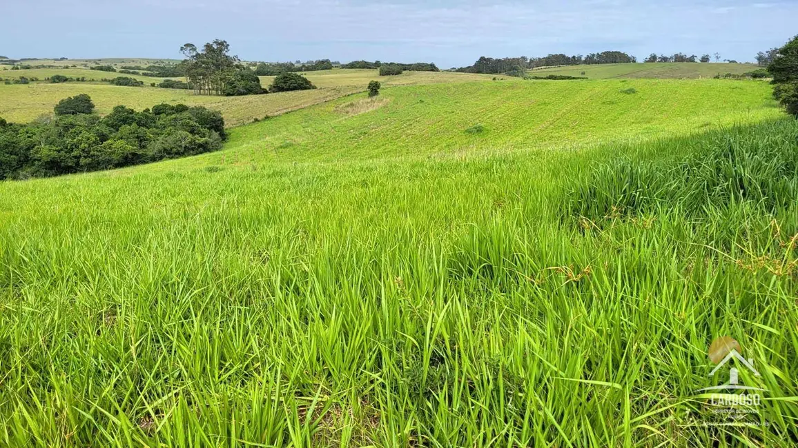 Foto 1 de Sítio / Rancho à venda, 450000m2 em Viamao - RS