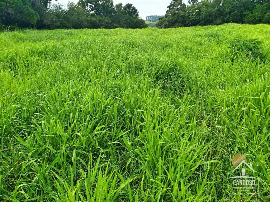 Foto 5 de Sítio / Rancho à venda, 450000m2 em Viamao - RS