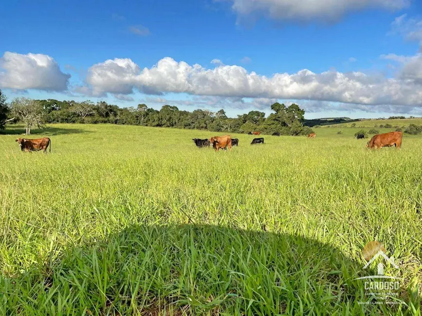 Foto 3 de Sítio / Rancho à venda, 450000m2 em Viamao - RS