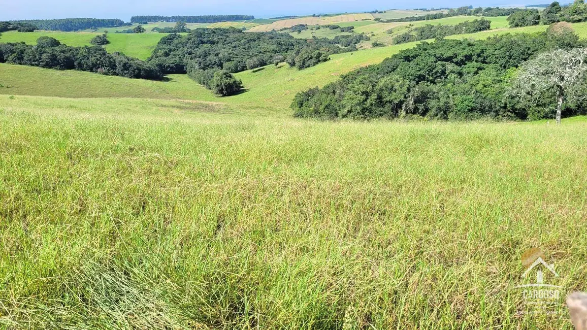 Foto 2 de Sítio / Rancho à venda, 450000m2 em Viamao - RS