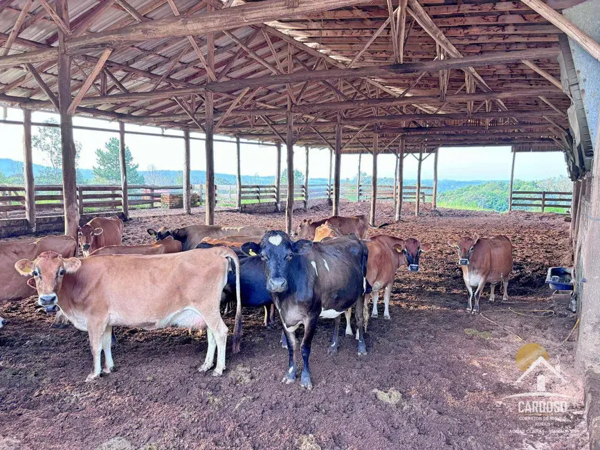 Foto 4 de Sítio / Rancho à venda, 180000m2 em Viamao - RS