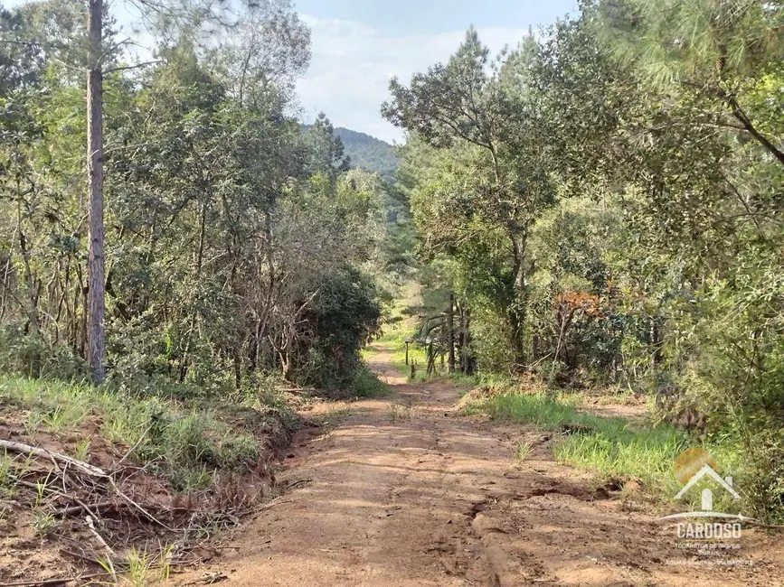 Foto 8 de Sítio / Rancho à venda, 110000m2 em Viamao - RS