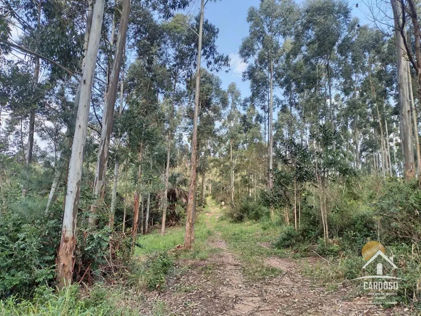 Foto 6 de Sítio / Rancho à venda, 110000m2 em Viamao - RS