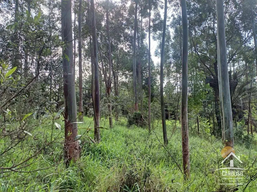 Foto 7 de Sítio / Rancho à venda, 110000m2 em Viamao - RS