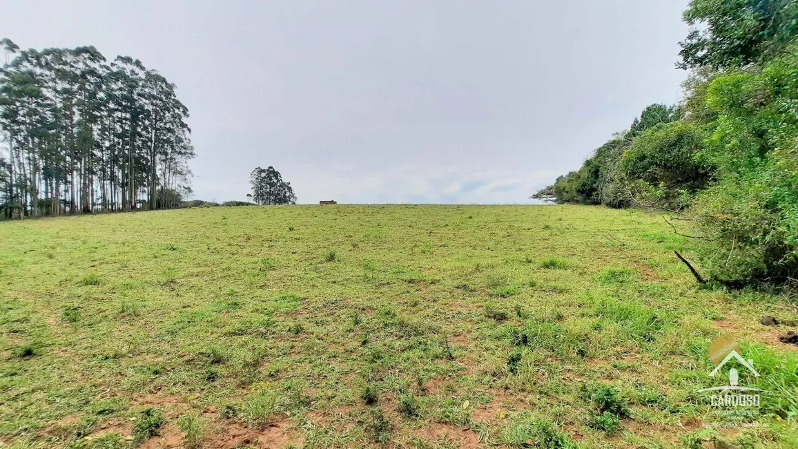 Sítio / Rancho à venda, 47000m2 em Viamao - RS - imagem 4 Foto 4 de Sítio / Rancho à venda, 47000m2 em Viamao - RS