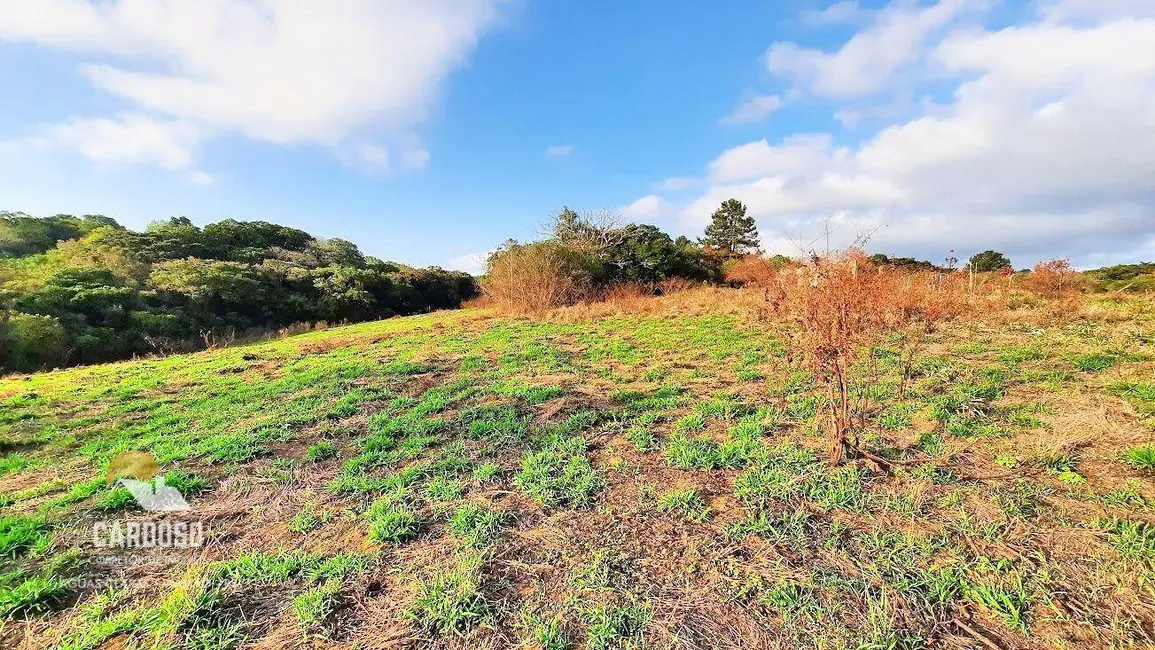 Sítio / Rancho à venda, 75000m2 em Centro, Viamao - RS - imagem 4 Foto 4 de Sítio / Rancho à venda, 75000m2 em Centro, Viamao - RS