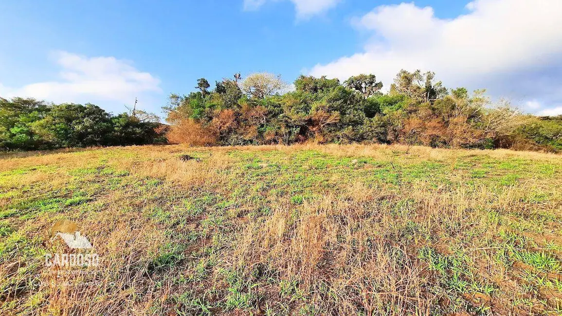 Sítio / Rancho à venda, 75000m2 em Centro, Viamao - RS - imagem 8 Foto 8 de Sítio / Rancho à venda, 75000m2 em Centro, Viamao - RS
