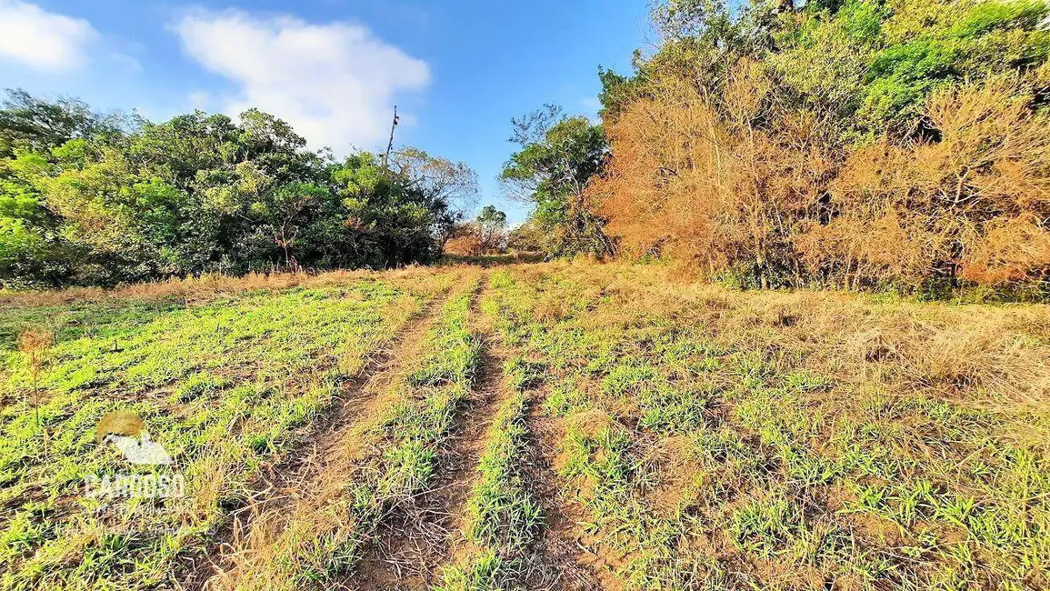Sítio / Rancho à venda, 75000m2 em Centro, Viamao - RS - imagem 6 Foto 6 de Sítio / Rancho à venda, 75000m2 em Centro, Viamao - RS
