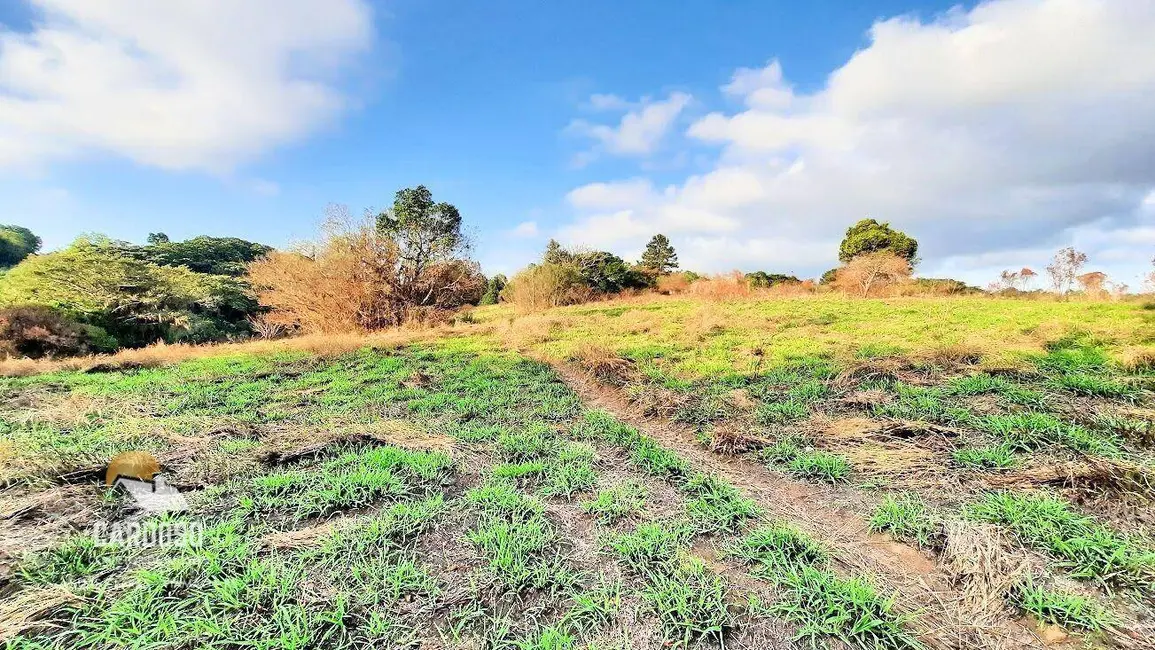 Sítio / Rancho à venda, 75000m2 em Centro, Viamao - RS - imagem 5 Foto 5 de Sítio / Rancho à venda, 75000m2 em Centro, Viamao - RS