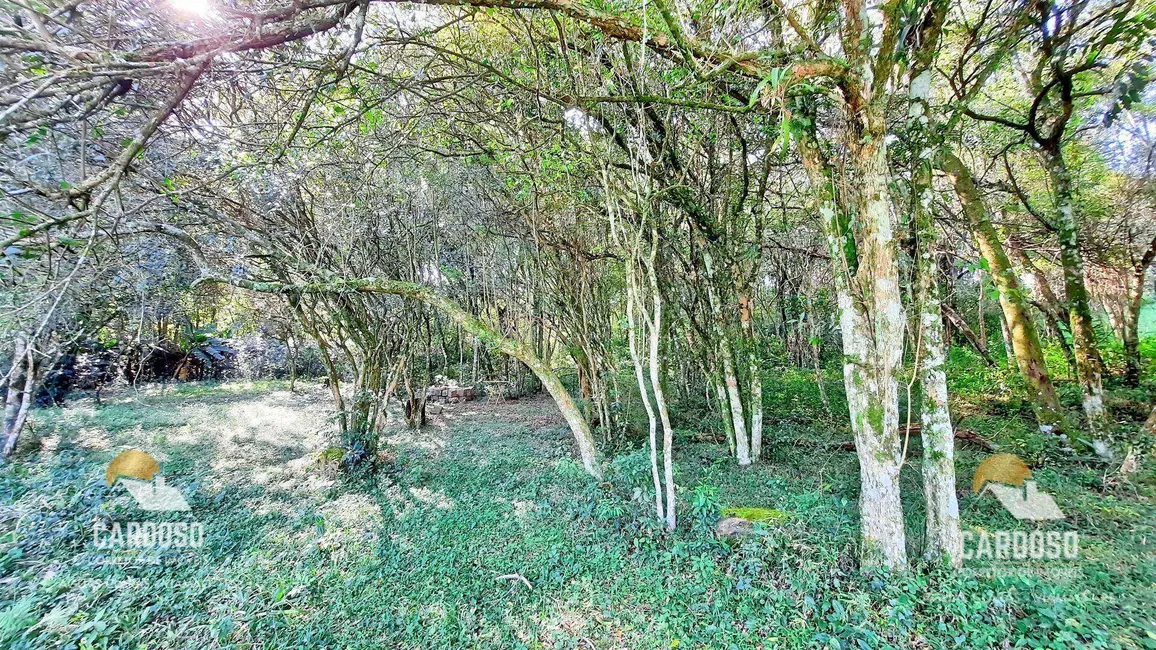 Foto 8 de Sítio / Rancho à venda, 47000m2 em Viamao - RS