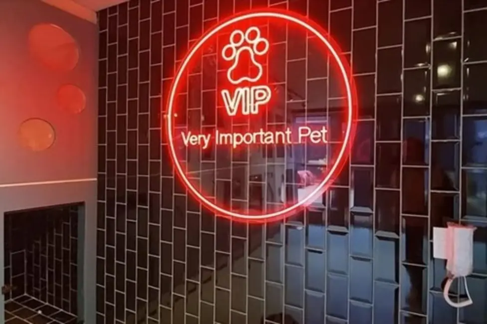 Kitnet com 1 quarto à venda, 20m2 em Paraíso, São Paulo - SP - imagem 3 Foto 3 de Kitnet com 1 quarto à venda, 20m2 em Paraíso, São Paulo - SP