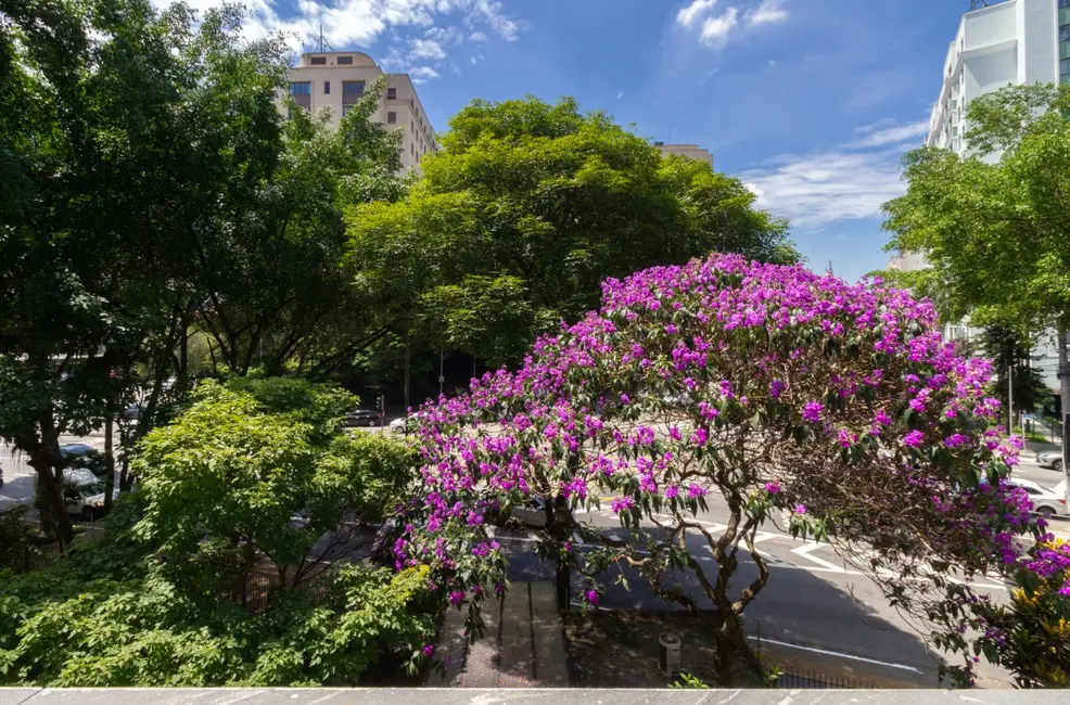 Foto 4 de Apartamento com 2 quartos à venda, 76m2 em Jardim Paulista, São Paulo - SP