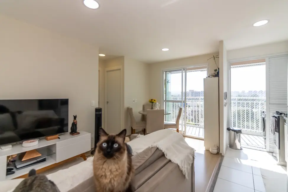 Foto 6 de Apartamento com 2 quartos à venda, 46m2 em Barra Funda, São Paulo - SP