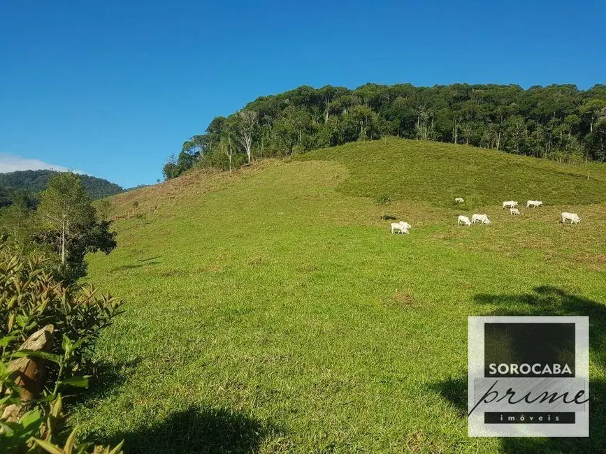 Foto 1 de Fazenda / Haras à venda, 202000m2 em Iporanga - SP