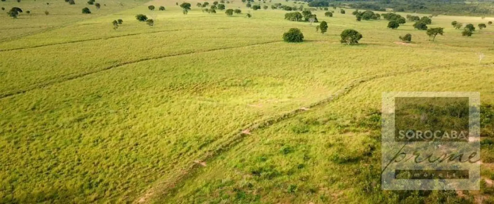 Fazenda / Haras à venda, 16777215m2 em Centro, Ribas Do Rio Pardo - MS - imagem 8 Foto 8 de Fazenda / Haras à venda, 16777215m2 em Centro, Ribas Do Rio Pardo - MS