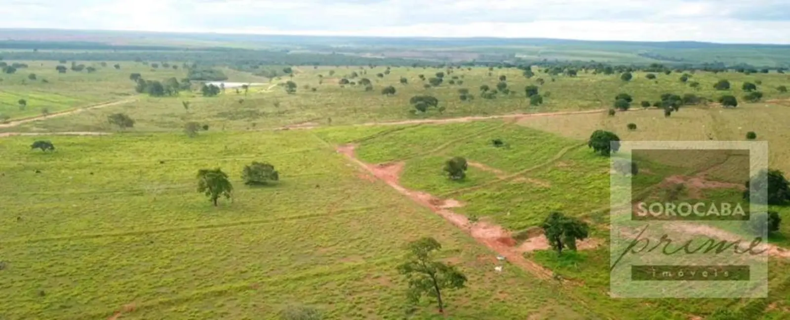 Fazenda / Haras à venda, 16777215m2 em Centro, Ribas Do Rio Pardo - MS - imagem 4 Foto 4 de Fazenda / Haras à venda, 16777215m2 em Centro, Ribas Do Rio Pardo - MS