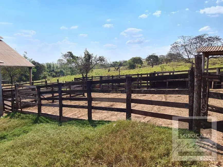 Foto 8 de Fazenda / Haras à venda, 750200m2 em Centro, Emilianopolis - SP