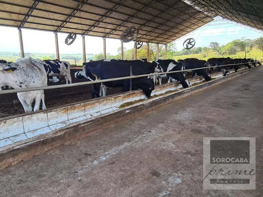 Foto 1 de Fazenda / Haras à venda, 750200m2 em Centro, Emilianopolis - SP