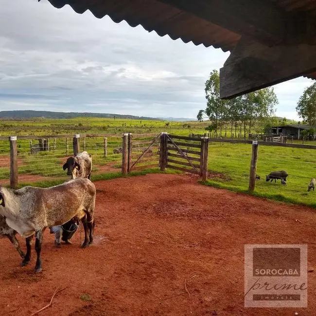 Foto 3 de Fazenda / Haras à venda, 16777215m2 em Vila Rica - MT