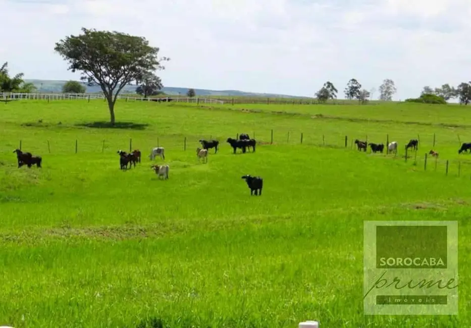 Foto 2 de Fazenda / Haras à venda, 7671400m2 em Área Rural de Bauru, Bauru - SP
