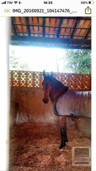 Foto 7 de Fazenda / Haras à venda, 992200m2 em Atibaia - SP
