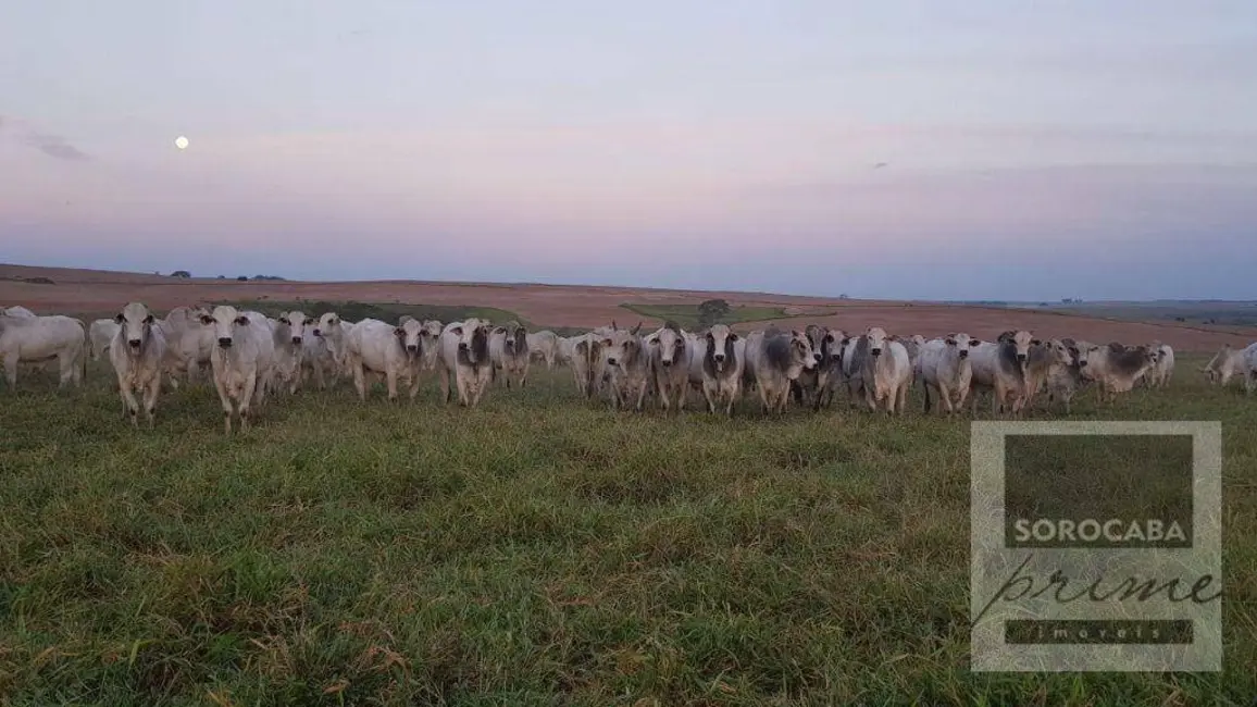 Foto 1 de Fazenda / Haras à venda, 16777215m2 em Centro, Pompeia - SP