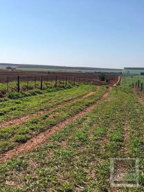 Foto 9 de Fazenda / Haras à venda, 16777215m2 em Centro, Pompeia - SP