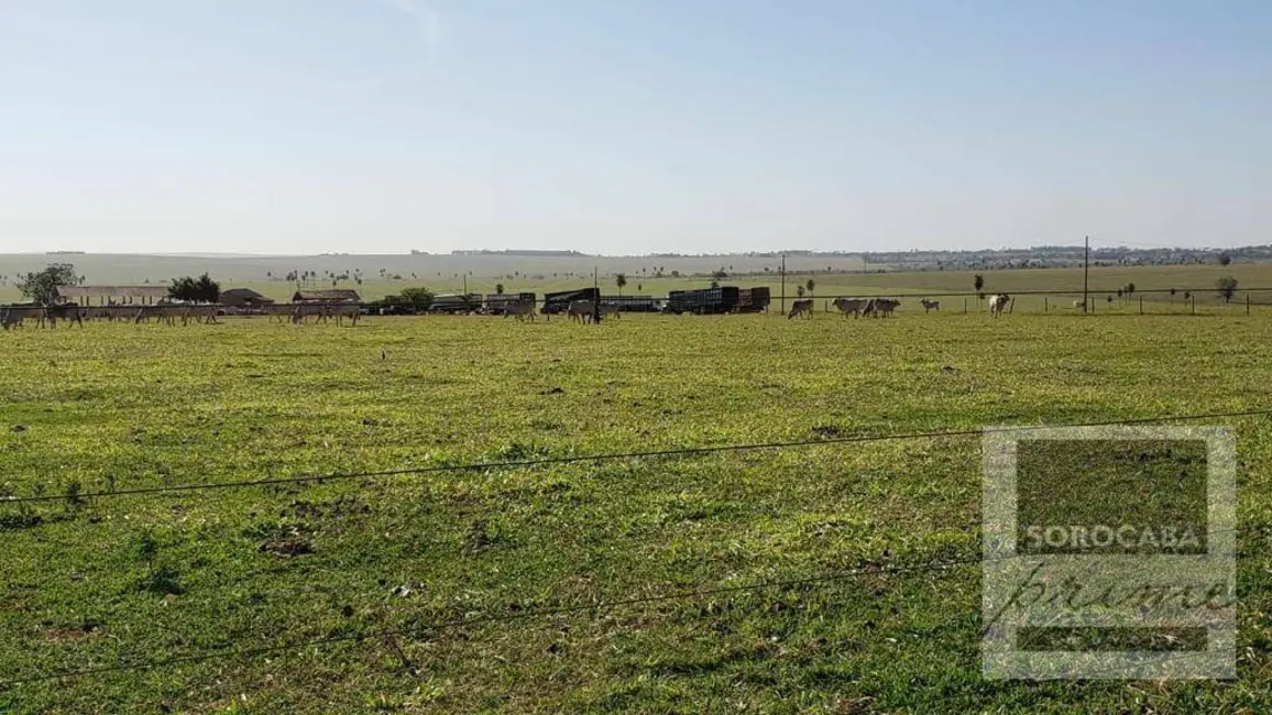 Fazenda / Haras à venda, 3242800m2 em Centro, Itajobi - SP - imagem 8 Foto 8 de Fazenda / Haras à venda, 3242800m2 em Centro, Itajobi - SP
