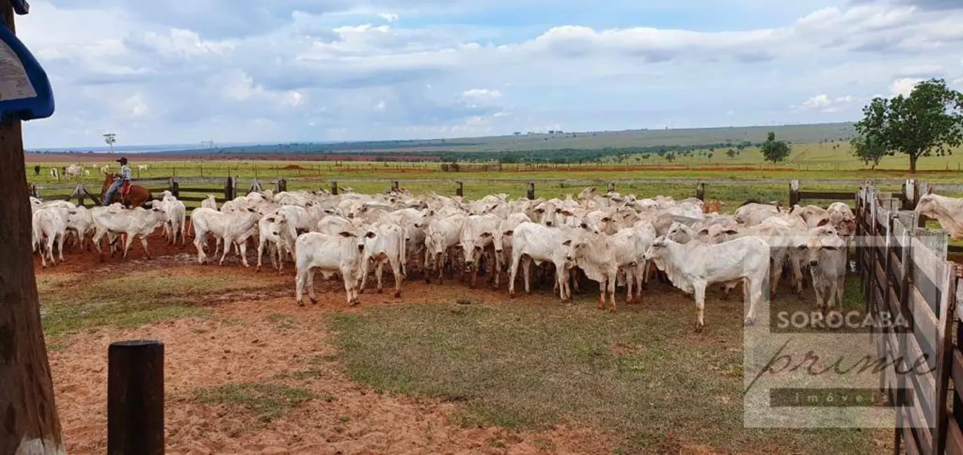 Fazenda / Haras à venda, 3242800m2 em Centro, Itajobi - SP - imagem 1 Foto 1 de Fazenda / Haras à venda, 3242800m2 em Centro, Itajobi - SP