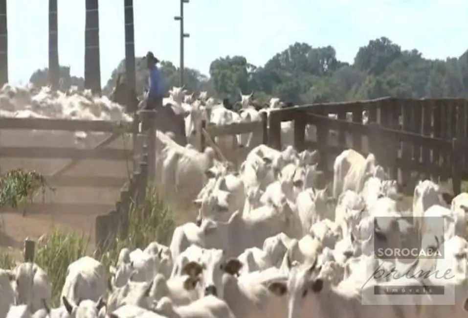 Foto 8 de Fazenda / Haras à venda, 16777215m2 em Nova Marabá, Maraba - PA