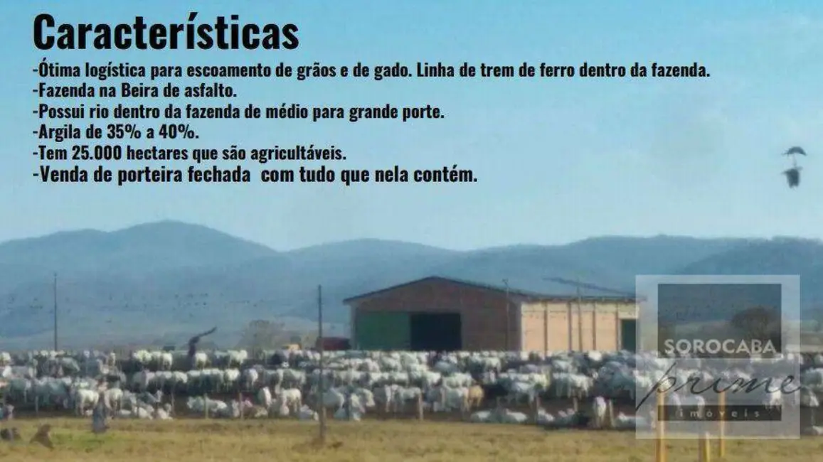 Fazenda / Haras à venda, 16777215m2 em Nova Corumbá, Corumba - MS - imagem 9 Foto 9 de Fazenda / Haras à venda, 16777215m2 em Nova Corumbá, Corumba - MS
