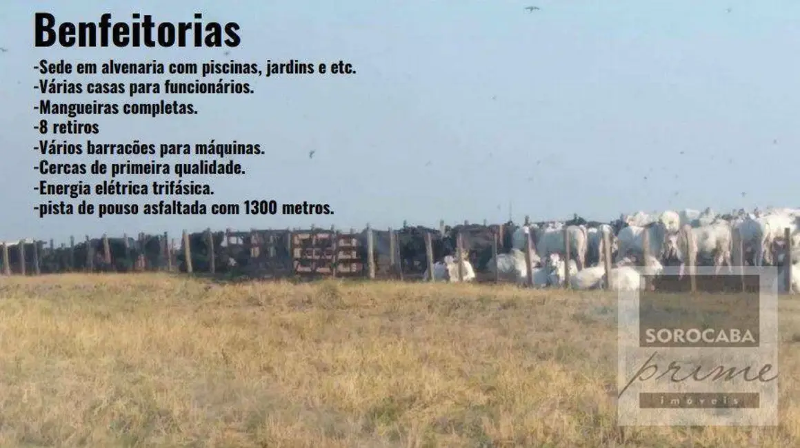 Fazenda / Haras à venda, 16777215m2 em Nova Corumbá, Corumba - MS - imagem 6 Foto 6 de Fazenda / Haras à venda, 16777215m2 em Nova Corumbá, Corumba - MS