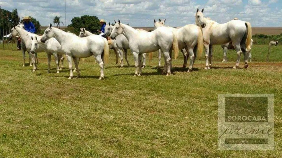 Fazenda / Haras à venda, 16777215m2 em Nova Corumbá, Corumba - MS - imagem 7 Foto 7 de Fazenda / Haras à venda, 16777215m2 em Nova Corumbá, Corumba - MS
