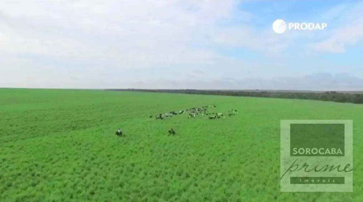 Fazenda / Haras à venda, 16777215m2 em Sorriso - MT - imagem 5 Foto 5 de Fazenda / Haras à venda, 16777215m2 em Sorriso - MT