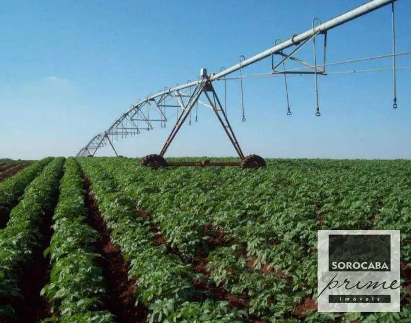 Fazenda / Haras à venda, 16777215m2 em Colina dos Pinheiros, Itapeva - SP - imagem 7 Foto 7 de Fazenda / Haras à venda, 16777215m2 em Colina dos Pinheiros, Itapeva - SP