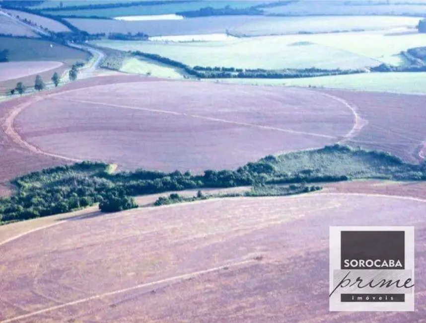 Fazenda / Haras à venda, 16777215m2 em Colina dos Pinheiros, Itapeva - SP - imagem 8 Foto 8 de Fazenda / Haras à venda, 16777215m2 em Colina dos Pinheiros, Itapeva - SP