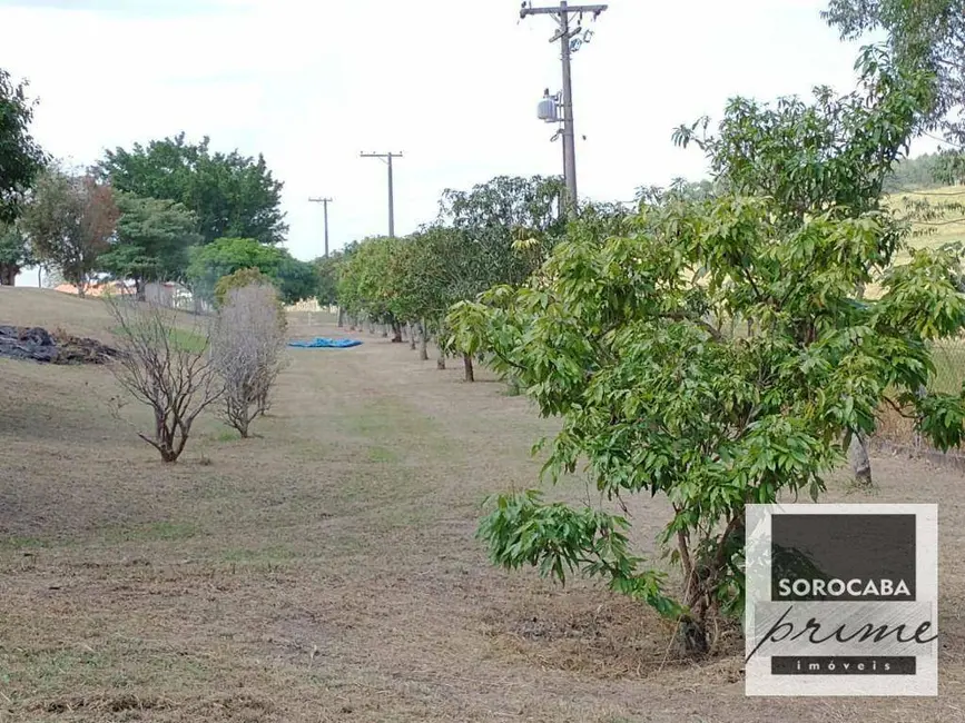 Fazenda / Haras à venda, 266200m2 em Sarapui - SP - imagem 3 Foto 3 de Fazenda / Haras à venda, 266200m2 em Sarapui - SP